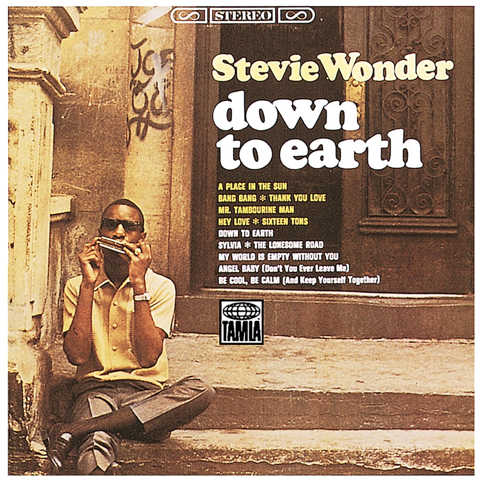 Stevie Wonder - Down to Earth